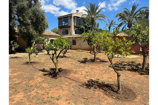 Finca Portico (f006) in Portol Foto 68