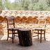 Finca Portico (f006) in Portol Foto 41