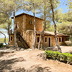 Finca Santueri (f015) in Felanitx Foto 44