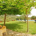 Finca Can Ferrera (f019) in Es Carritxo Foto 28