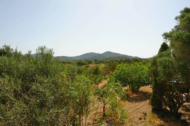 Finca Can Andreu (f048) in Cas Concos Foto 37