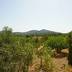 Finca Can Andreu (f048) in Cas Concos Foto 37