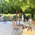 Finca  (f051) in Vilafranca Foto 5