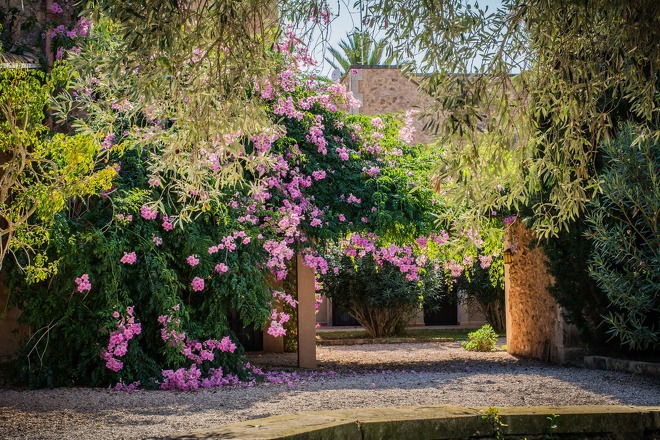 Ferienhaus Son Xanet (f063a3) in Campos Foto 22