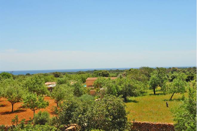 Finca La Manga (f071) in Porto Colom Foto 25