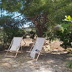 Finca Alina (f083) in Cala S’Almunia Foto 5