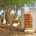 Chalet Andres (f115) in Porto Colom Foto 16