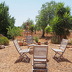 Finca Son Isidro S'Olivar (f118) in Porto Colom Foto 5