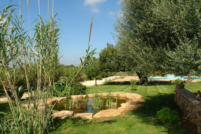 Finca Son Ramonet (f120) in Cas Concos Foto 25