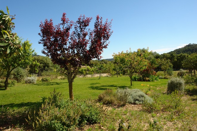 Finca Binifarda (f136) in Felanitx Foto 7