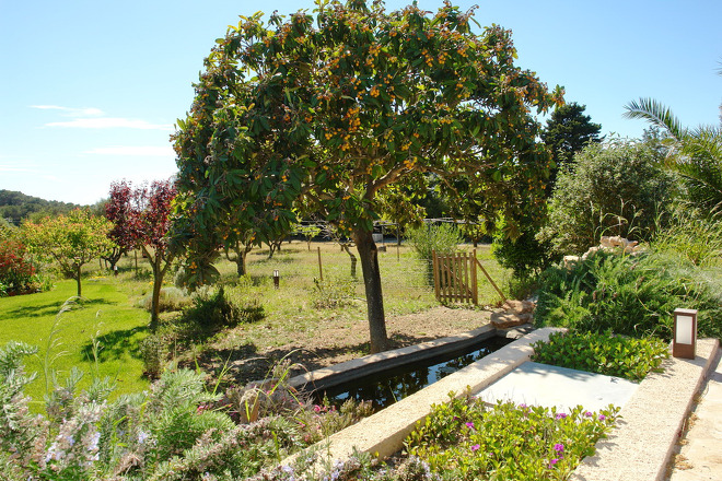 Finca Binifarda (f136) in Felanitx Foto 24