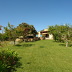 Finca Binifarda (f136) in Felanitx Foto 26