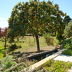 Finca Binifarda (f136) in Felanitx Foto 24