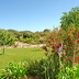 Finca Binifarda (f136) in Felanitx Foto 25