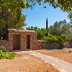 Finca Belleza (f138) in Porto Cristo Foto 40