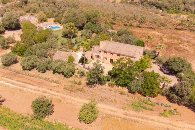Finca Marineta (f149) in San Lorenzo Foto 2