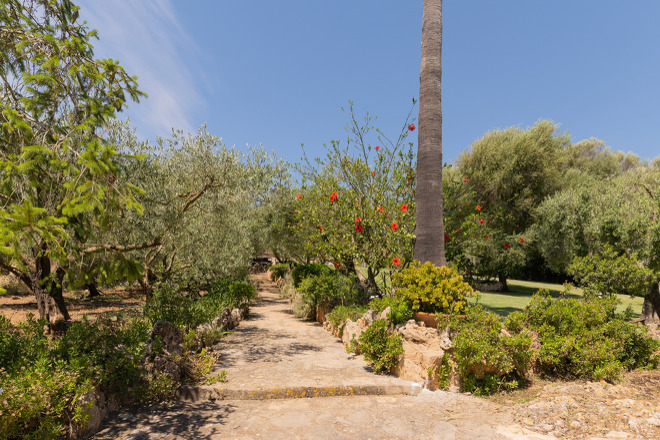 Finca Marineta (f149) in San Lorenzo Foto 7