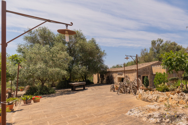 Finca Marineta (f149) in San Lorenzo Foto 37