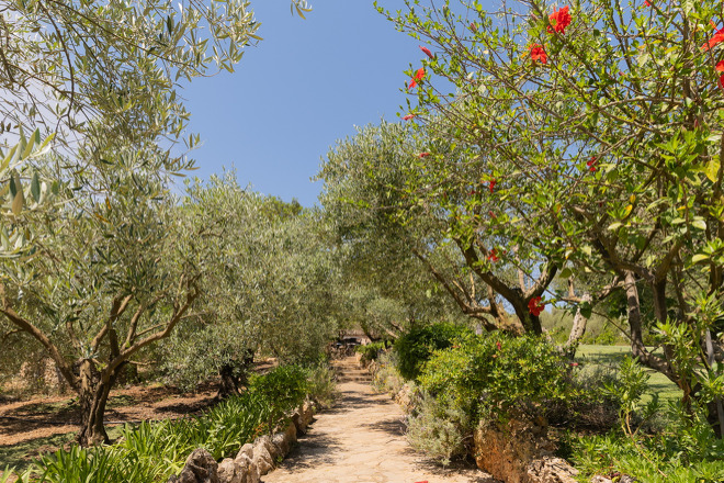 Finca Marineta (f149) in San Lorenzo Foto 44
