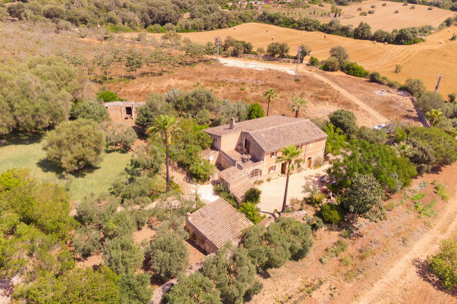 Finca Marineta (f149) in San Lorenzo Foto 49