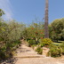 Finca Marineta (f149) in San Lorenzo Foto 7