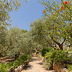 Finca Marineta (f149) in San Lorenzo Foto 44