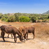 Finca Marineta (f149) in San Lorenzo Foto 47