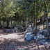 Finca Paloma (f200) in Pollensa Foto 28