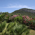 Finca Vistabella (f254) in Pollensa Foto 24