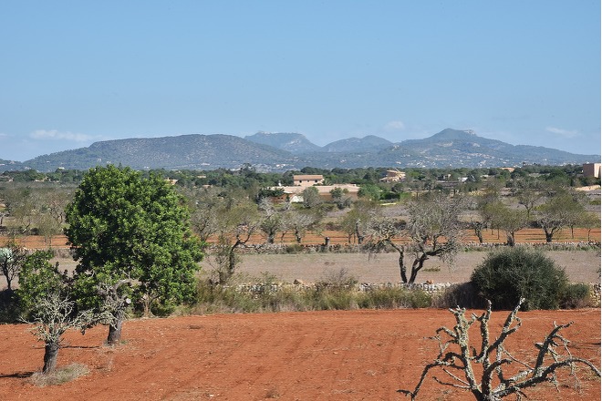 Finca Serafina (f282) in Es Llombards Foto 30