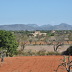 Finca Serafina (f282) in Es Llombards Foto 30