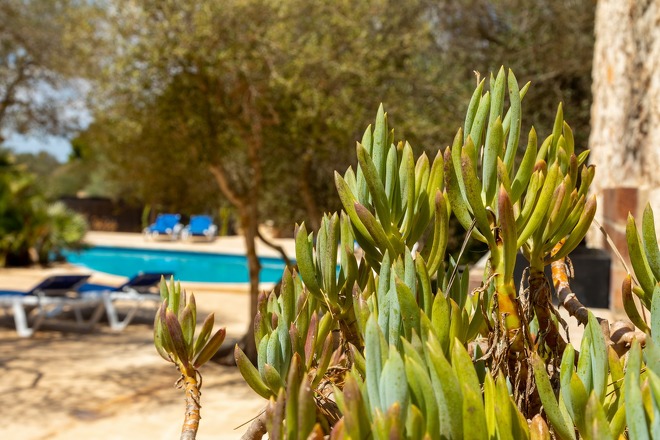 Ferienhaus Es Caló (f323) in Cala S’Almunia Foto 36