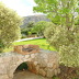 Finca Zurbarán (f329) in Colonia de Sant Pere Foto 40