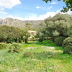 Finca Zurbarán (f329) in Colonia de Sant Pere Foto 46