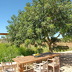 Finca El Idilio (f331) in Ses Salines Foto 40