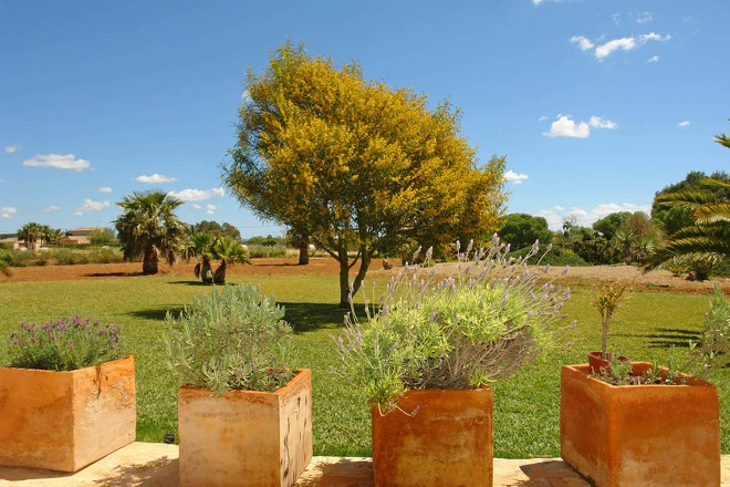 Villa Estepa (f332) in Sa Rapita Foto 10