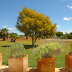 Villa Estepa (f332) in Sa Rapita Foto 10