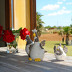 Villa Estepa (f332) in Sa Rapita Foto 17