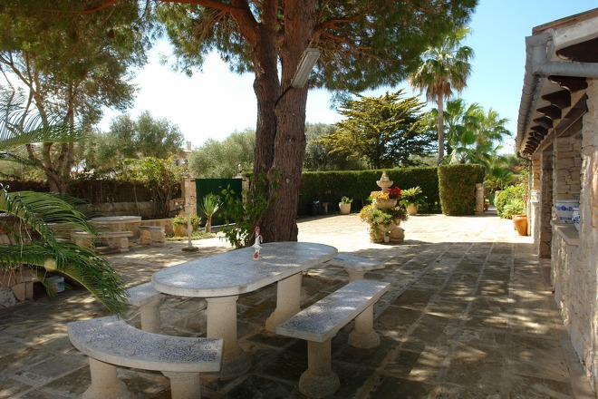 Finca Pereda (f358) in Porto Colom Foto 3