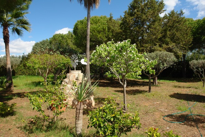 Finca Pereda (f358) in Porto Colom Foto 17