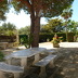 Finca Pereda (f358) in Porto Colom Foto 3