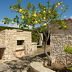 Finca Pereda (f358) in Porto Colom Foto 4