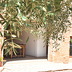 Finca Soraya (f362) in Porto Petro Foto 39