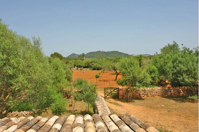 Finca Ventura (f366) in Porreres Foto 28