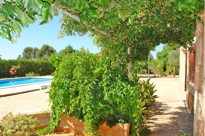 Finca Begonia (f371) in S'Horta Foto 10