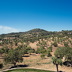 Finca Telma Golf (f373) in S'Horta Foto 33