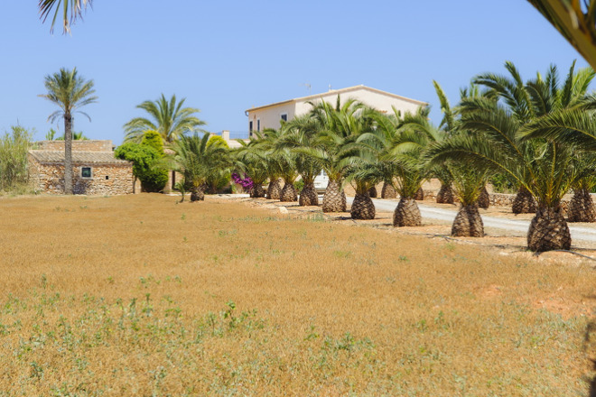 Finca Veritas (f383) in Cala D'or Foto 42