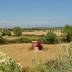 Finca Bellmonte (f416) in Montuiri Foto 8