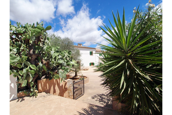 Finca Mara (f425) in Cas Concos Foto 9