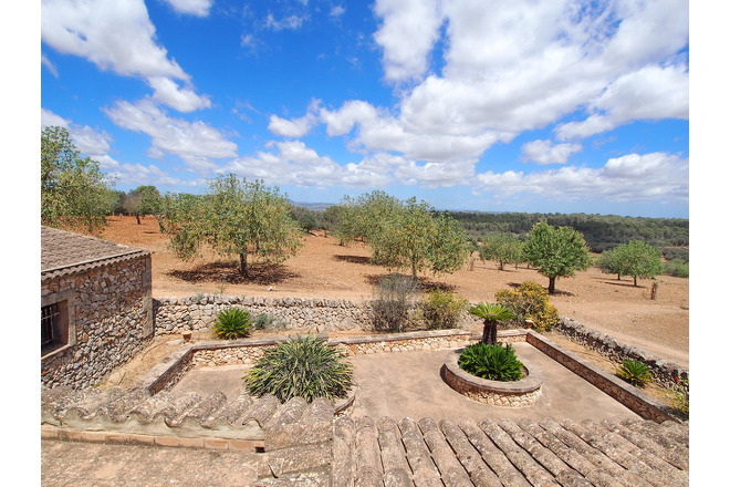 Finca Mara (f425) in Cas Concos Foto 40